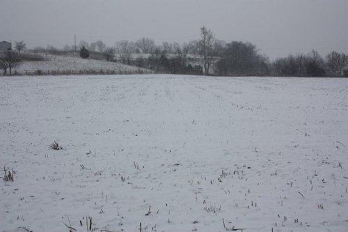 Property photo 3 - ABSOLUTE AUCTION - 298 Acres Offered in 4 Tracts